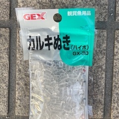メダカ 屋外飼育セット　　メダカ鉢・ホテイ草・カルキ抜きの画像