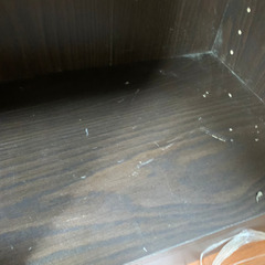 急募！本棚（取りに来てください🙇）の画像