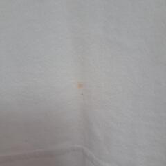 【USED】ハニーズの猫Tシャツの画像