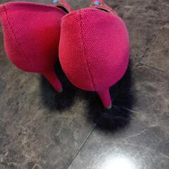 ロデオパンプスの画像