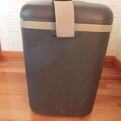 クーラーボックス　保冷バッグ　保冷ボックス　肩ひも付きの画像