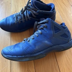 バッシュ(青)25cmの画像