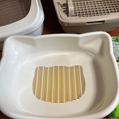 決まりましたの画像