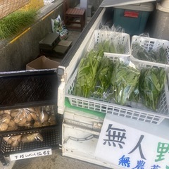 無人野菜100円
の画像