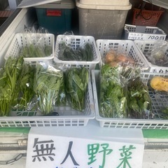 無人野菜100円
の画像