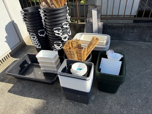 メダカ飼育容器