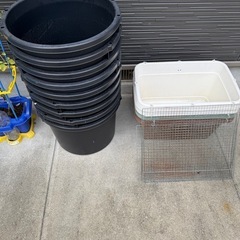 メダカ飼育容器の画像