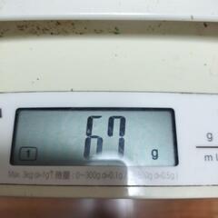 家庭菜園で収穫した島唐辛子（コーレーグース）67gの画像