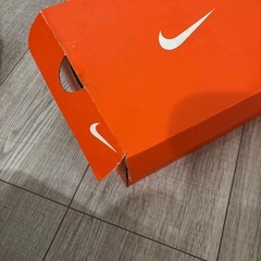 NIKE ダイナモフリー　16.5の画像