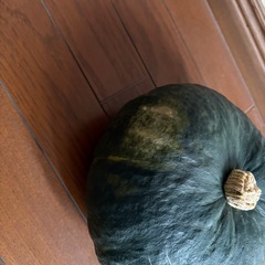 かぼちゃの画像