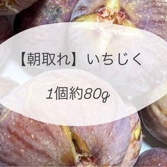 【8/16朝取れ・無農薬】いちじく12個