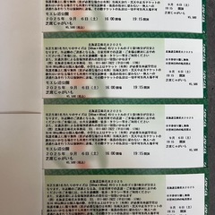 北海道芸術花火大会 モエレ沼 4名様分入場券の画像