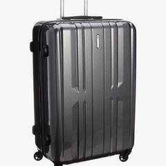 定価2.4万　キャリー　美品