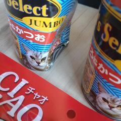 猫　ご飯の画像