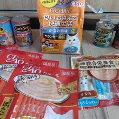 猫　ご飯の画像