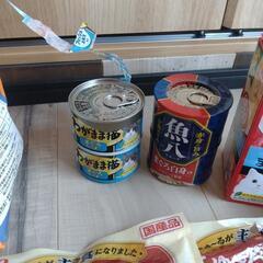 猫　ご飯の画像