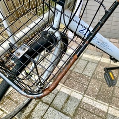 自転車の画像