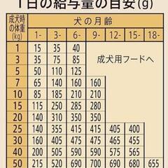 ニュートロ シュプレモ 子犬用 小粒 5kg ごはん ご飯 シュプレモ(Supremo) ドッグフード

の画像