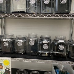 宇部新鮮館厚南店　メダカ　めだかの画像