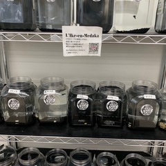 宇部新鮮館厚南店　メダカ　めだかの画像