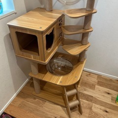 キャットタワーの画像