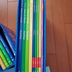 DWE　SingAlong　PlayAlongの画像