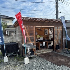 メダカ1000円セールやってます。の画像