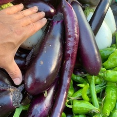 野菜！ナスと甘ナンバン！ひとり親限定！最上町〜新庄市の画像