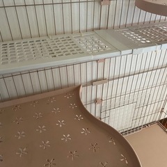 ケージの画像