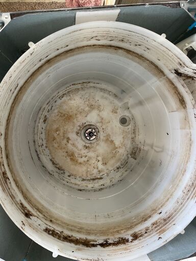 洗濯機の分解クリーニング行っています！配送設置込み　東芝8.0K 洗濯機　DDモーター　2019年製　分解クリーニング済み！！