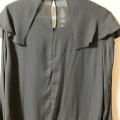 ZARA BASIC  フリル　花刺繍　Lの画像