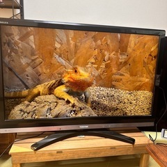 TOSHIBA REGZA 42インチの画像