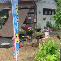 メダカ無人販売の画像