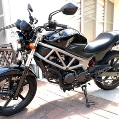 VTR250FIの画像
