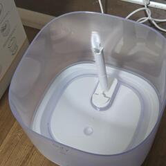 美品 フィルター3個付き！ ペット用給水器 Eufy Pet Water Fountain P940の画像