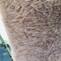 ニトリ　ソノママカケフトン 150×210cmの画像