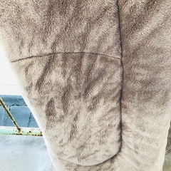 ニトリ　ソノママカケフトン 150×210cmの画像