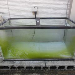 コトブキ　90cm水槽　無料で上げます。の画像