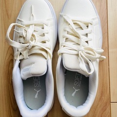スニーカー　PUMA 　23.5cmの画像