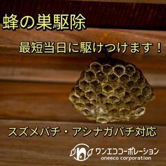 蜂の巣駆除｜最短当日で安全・確実！スズメ・アシナガ・オオスズメ対応