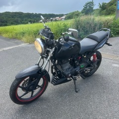 CBF125t
の画像