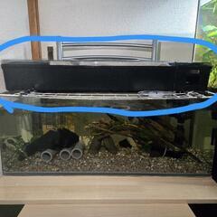 ６０cm水槽用上部フィルターの画像