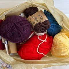 ワンダーリリアンの画像