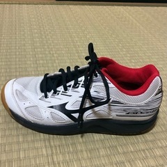 バトミントンシューズの画像