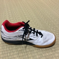 バトミントンシューズの画像