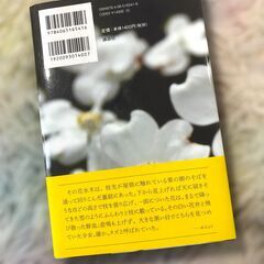 『密室を開ける手』 KZ Upper File 藤井ひとみ (中古本)の画像