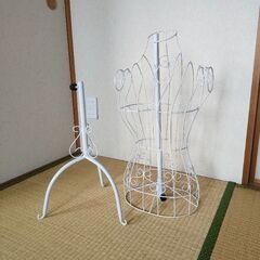 女性型トルソーの画像
