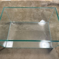 レグラス水槽の画像
