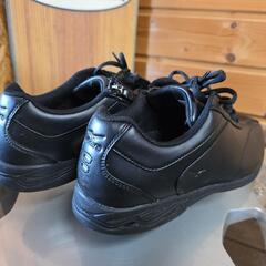 MIZUNO❗未使用カジュアル👟の画像