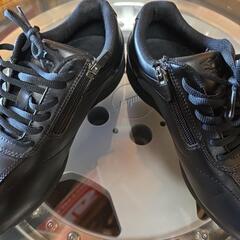 MIZUNO❗未使用カジュアル👟の画像